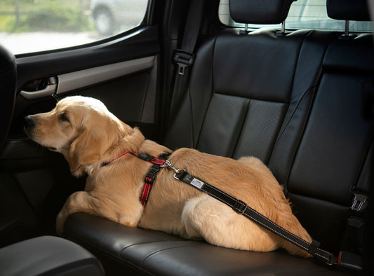 Rogz Dog Car Seat Belt Clip